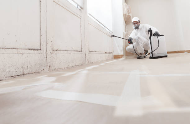 24/7 Emergency Crawl Space Mold Removal experts in New Providence, NJ